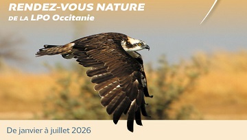 Pour bien commencer l’année : découvrez nos agendas nature du premier semestre 2026 !